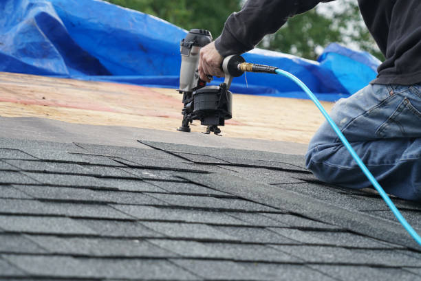 Roof Gutter Cleaning in New Iberia, LA